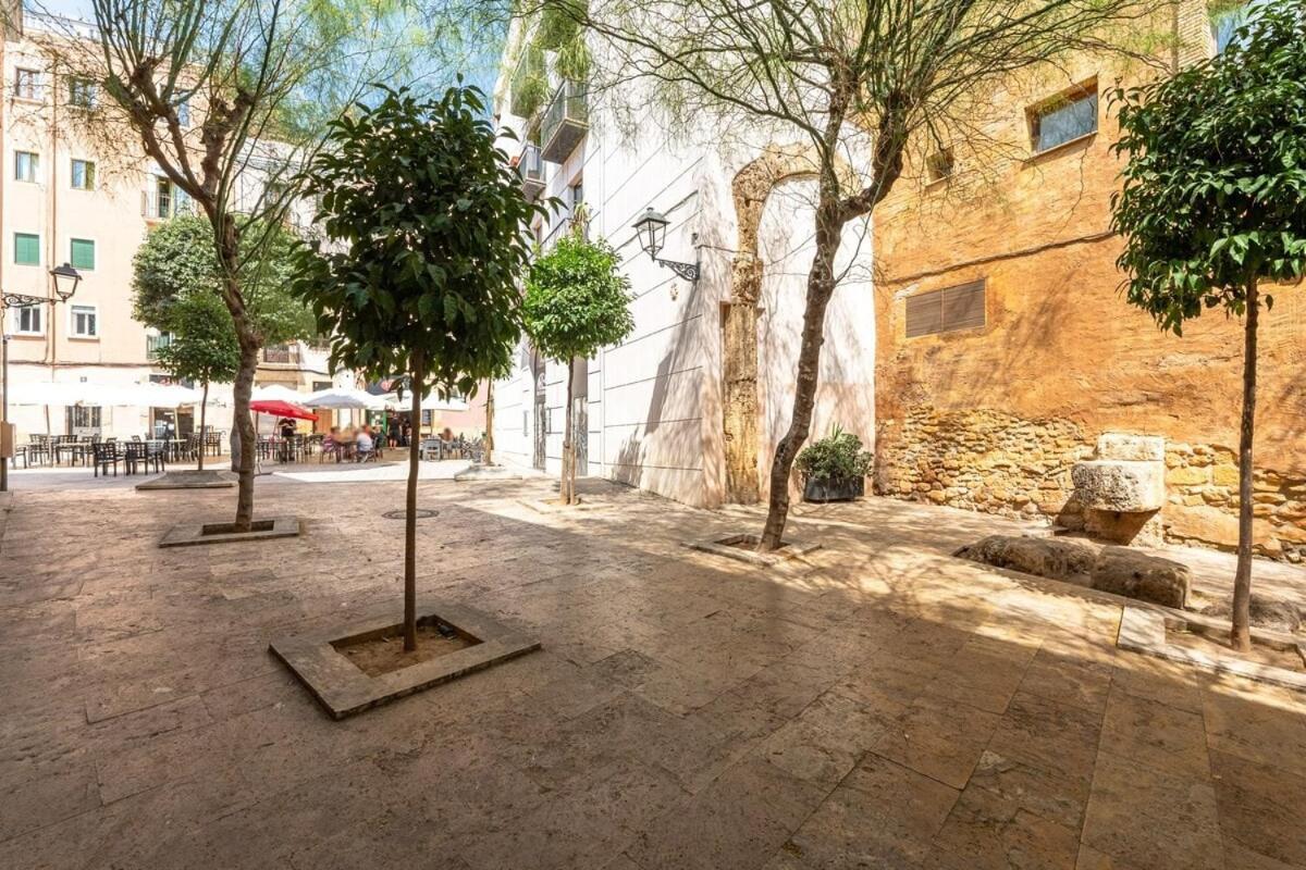 Tgn-historiccenter-playamediterrani-gastro-wifi-ac14 Apartamento
