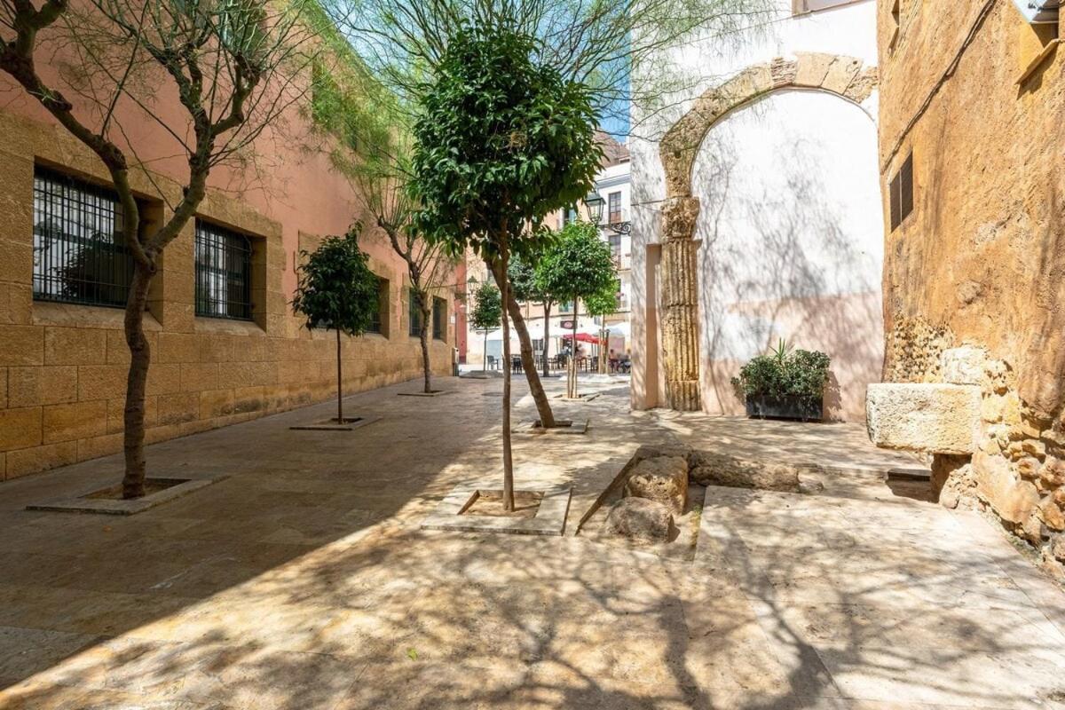 Apartamento Tgn-historiccenter-playamediterrani-gastro-wifi-ac14 *